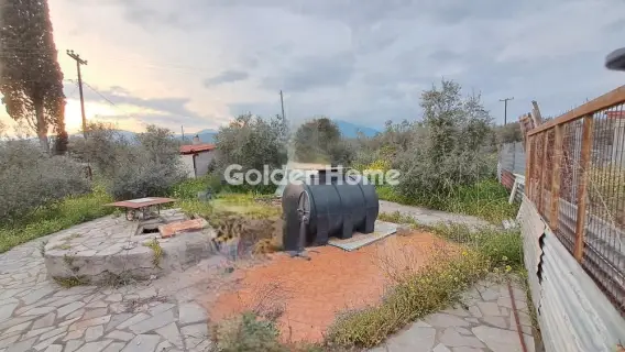 Αγροτεμάχιο 4790τ.μ. προς πώληση φωτογραφία 3