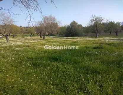 Parcel 1900m<sup>2</sup> for sale photo 5315501