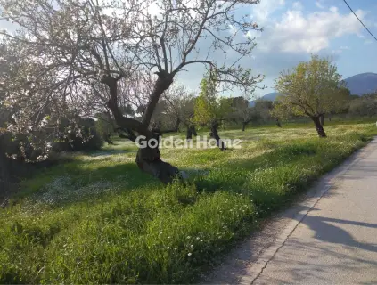 Parcel 1900m<sup>2</sup> for sale photo 5315498