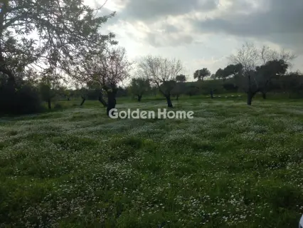 Parcel 1900m<sup>2</sup> for sale photo 5315503