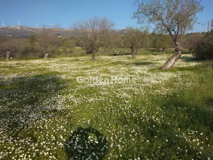 Parcel 1900m<sup>2</sup> for sale photo 5315504