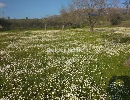 Parcel 1900m<sup>2</sup> for sale photo 5315505