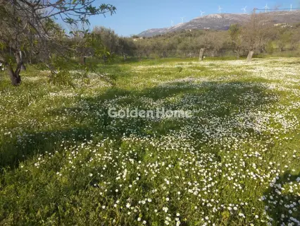 Parcel 1900m<sup>2</sup> for sale photo 5315506