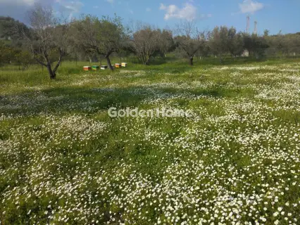 Parcel 1900m<sup>2</sup> for sale photo 5315507