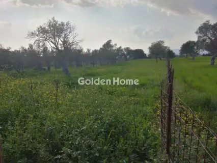 Parcel 1500m<sup>2</sup> for sale photo 5315511