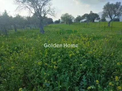 Parcel 1500m<sup>2</sup> for sale photo 5315513