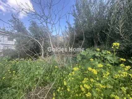 Residential 291m<sup>2</sup> for sale photo 2