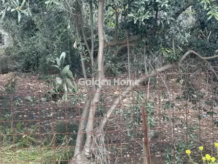 Residential 291m<sup>2</sup> for sale photo 3