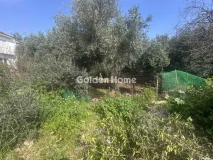 Residential 291m<sup>2</sup> for sale photo 1