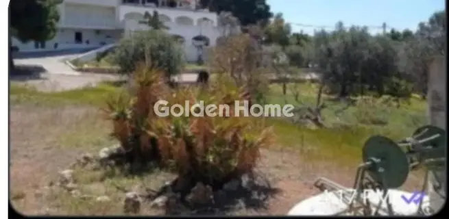 Διαμέρισμα 377τ.μ. προς πώληση φωτογραφία 5321040