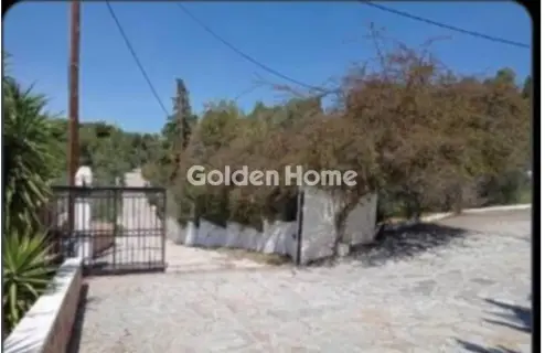 Διαμέρισμα 377τ.μ. προς πώληση φωτογραφία 5321048