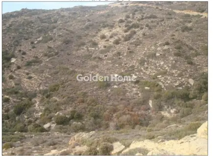 Αγροτεμάχιο 30000τ.μ. προς πώληση φωτογραφία 2