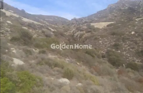 Αγροτεμάχιο 30000τ.μ. προς πώληση φωτογραφία 3