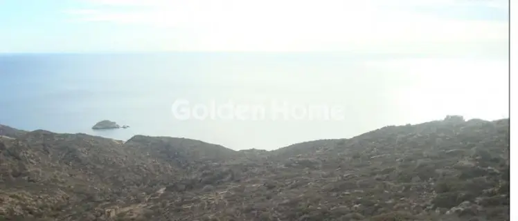 Αγροτεμάχιο 30000τ.μ. προς πώληση φωτογραφία 4