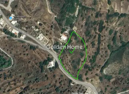 Αγροτεμάχιο 4000τ.μ. προς πώληση φωτογραφία 5317217