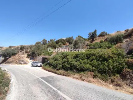 Αγροτεμάχιο 4000τ.μ. προς πώληση φωτογραφία 10