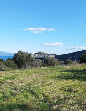 Parcel 4003m<sup>2</sup> for sale photo 1