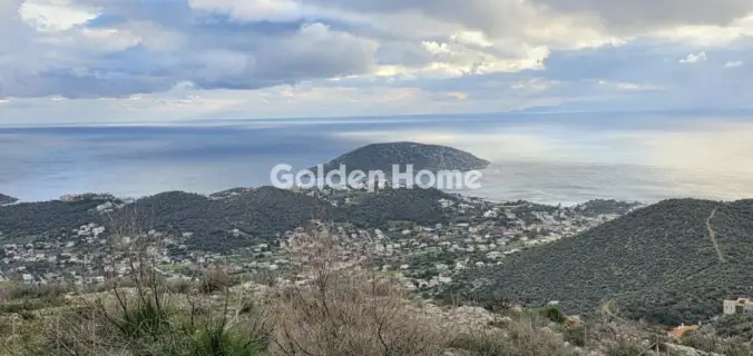Residential 620m<sup>2</sup> for sale photo 1