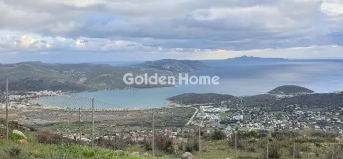 Residential 620m<sup>2</sup> for sale photo 2