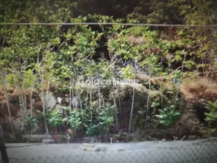 Residential 3781m<sup>2</sup> for sale photo 5319373