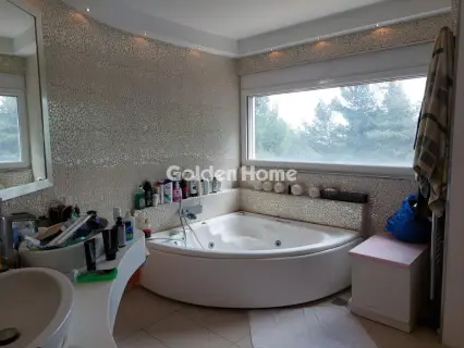 Οροφομεζονέτα 318τ.μ. προς πώληση φωτογραφία 5321063