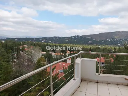 Οροφομεζονέτα 318τ.μ. προς πώληση φωτογραφία 5321078