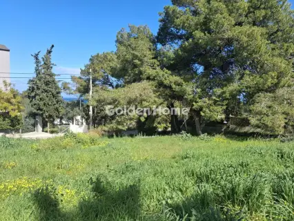 Οικιστικό 710τ.μ. προς πώληση φωτογραφία 3