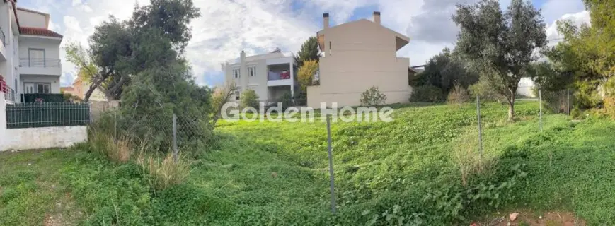 Residential 783m<sup>2</sup> for sale photo 6