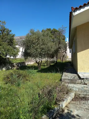 House 220m<sup>2</sup> for sale photo 49