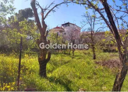 Residential 500m<sup>2</sup> for sale photo 5