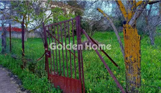 Residential 500m<sup>2</sup> for sale photo 9