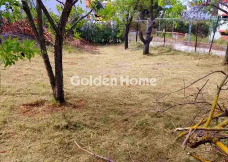 Residential 500m<sup>2</sup> for sale photo 6