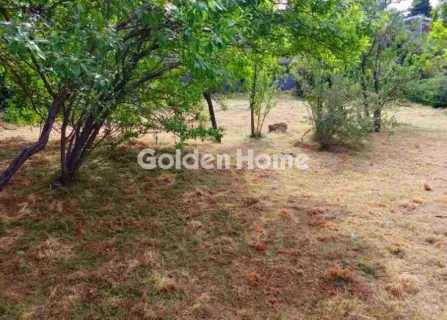 Residential 500m<sup>2</sup> for sale photo 4