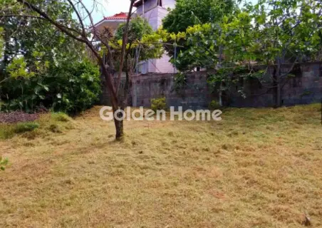 Residential 500m<sup>2</sup> for sale photo 7