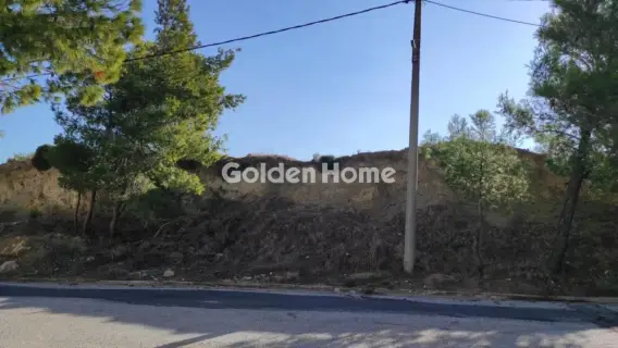 Residential 1447m<sup>2</sup> for sale photo 8