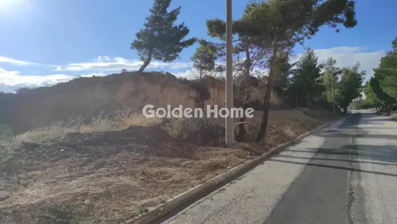 Residential 1447m<sup>2</sup> for sale photo 7