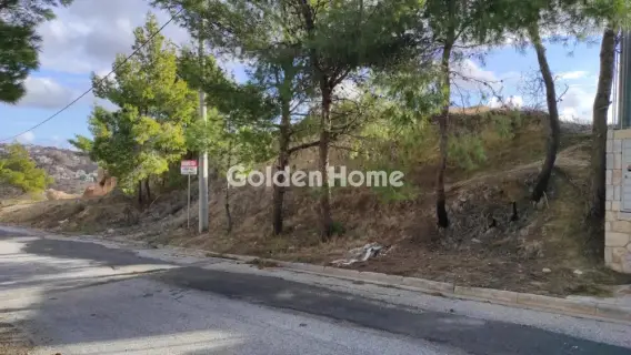 Residential 1447m<sup>2</sup> for sale photo 6