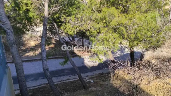 Residential 1447m<sup>2</sup> for sale photo 10