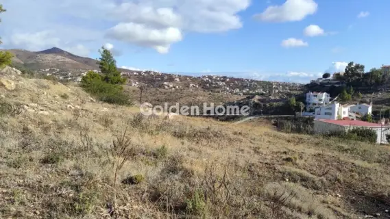 Residential 1447m<sup>2</sup> for sale photo 13