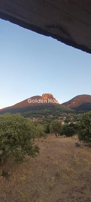 Μονοκατοικία 240τ.μ. προς πώληση φωτογραφία 18