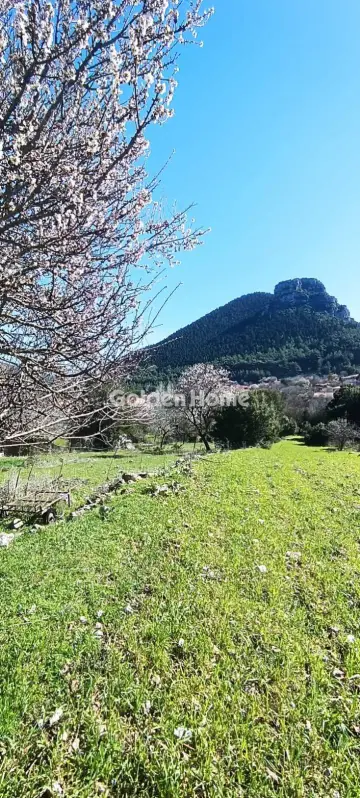 Μονοκατοικία 240τ.μ. προς πώληση φωτογραφία 16