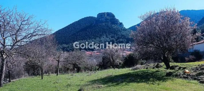 Μονοκατοικία 240τ.μ. προς πώληση φωτογραφία 14