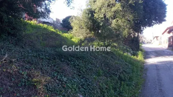 Οικιστικό 300τ.μ. προς πώληση φωτογραφία 5322584