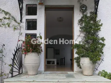 Μονοκατοικία 340τ.μ. προς πώληση φωτογραφία 9