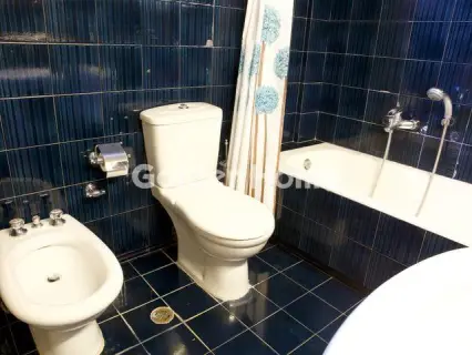 Μονοκατοικία 340τ.μ. προς πώληση φωτογραφία 15