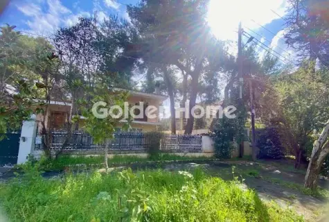 Οικιστικό 1400τ.μ. προς πώληση φωτογραφία 5351211