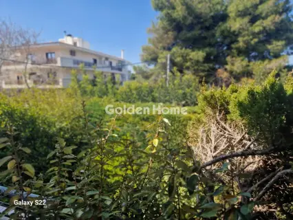 Μονοκατοικία 350τ.μ. προς πώληση φωτογραφία 5331985