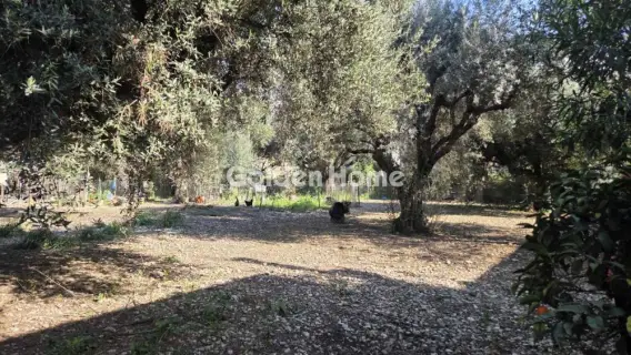 Οικιστικό 796τ.μ. προς πώληση φωτογραφία 5332508