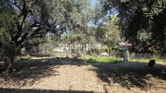 Οικιστικό 796τ.μ. προς πώληση φωτογραφία 5332509