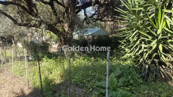 Οικιστικό 796τ.μ. προς πώληση φωτογραφία 5332510